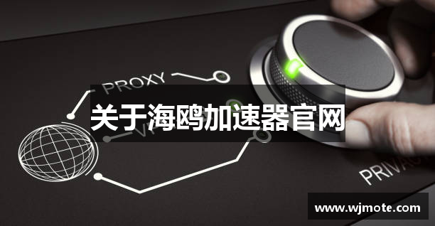 关于海鸥加速器官网